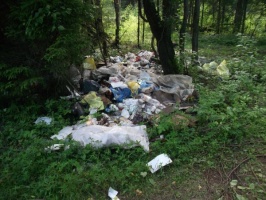 Госадмтехнадзор выявил в Луховицком районе свалки мусора
