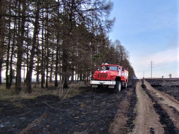 В ближайшие дни возрастёт риск лесных пожаров в Подмосковье