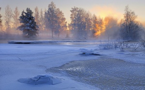 Морозный и снежный понедельник ожидается в Подмосковье