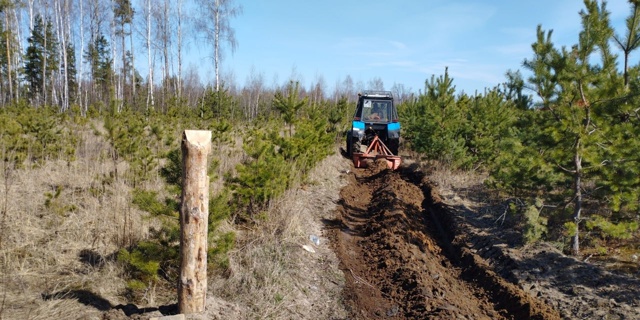 В Ступинском лесничестве завершены работы по обустройству и прочистке минерализованных полос