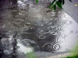 ГИБДД предупреждает: из-за дождей ситуация на дорогах может ухудшиться