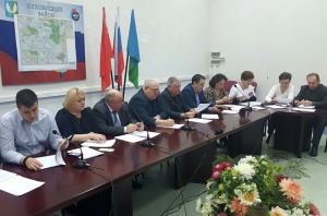 Совет депутатов городского округа Луховицы утвердил проект устава муниципалитета