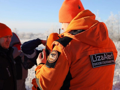 В Воскресенске ищут Романа Орехова, пропавшего в деревне Берендино  