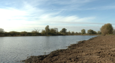 Губернаторская программа &quot;100 прудов и озёр&quot; реализуется уже несколько лет