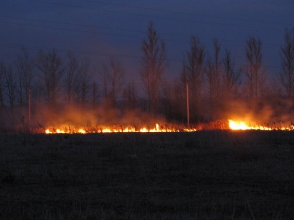 8 пожаров произошло в Коломне и окрестностях с 5 по 7 апреля