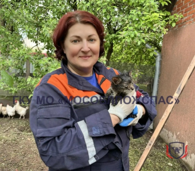 В Луховицах спасли котёнка