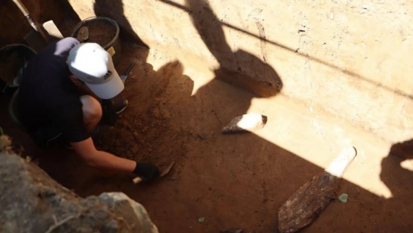 Археологи нашли в Зарайске бивни мамонта