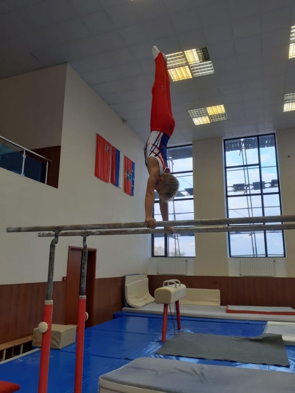 Коломенский гимнаст завоевал четыре медали