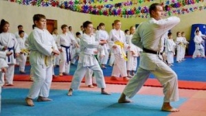 В семинаре по каратэ в Коломне приняли участие более 70 человек