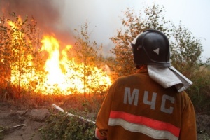 Спасатели Подмосковья проводят работы по профилактике лесных пожаров