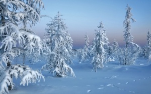 Небольшой снег ожидается в Подмосковье в пятницу