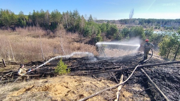 Первый лесной пожар ликвидирован в Луховицах