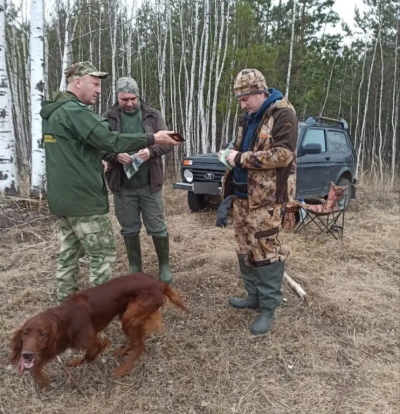 В Подмосковье начался сезон охоты на взрослых самцов-лосей