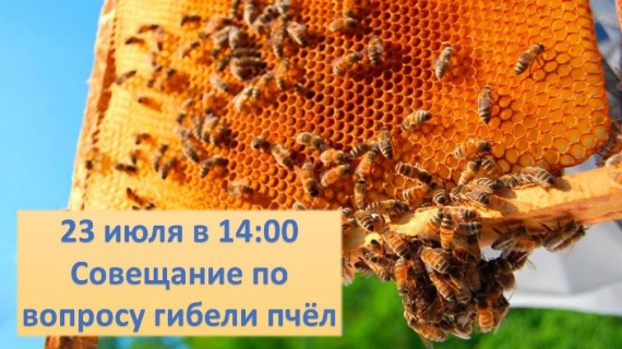 Проблему гибели пчёл обсудят в Озёрах