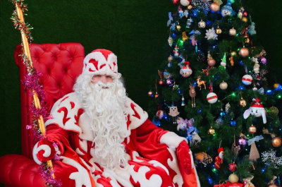 Резиденция Деда Мороза в Кривякино  