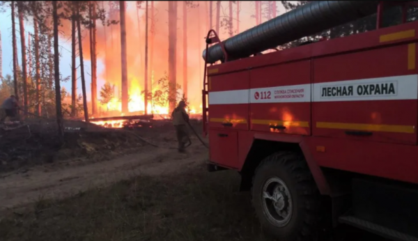В Подмосковье лесных пожарных застраховали от несчастных случаев