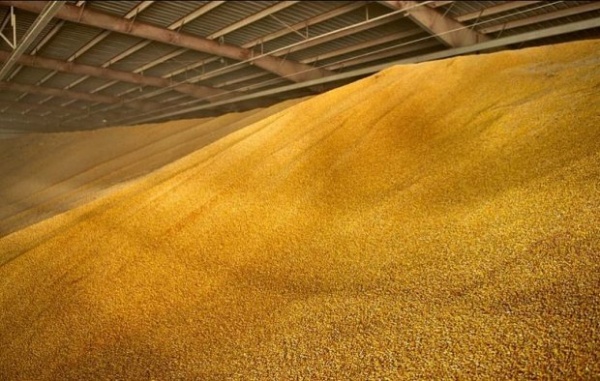 Компанию из Коломны оштрафовали за зерно