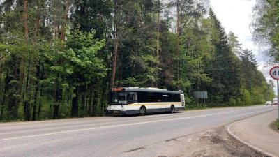 Как перевозить садовый инвентарь и урожай в автобусах в дачный сезон?