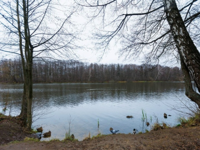 Два коломенских пруда вышли в финал голосования на портале &quot;Добродел&quot;