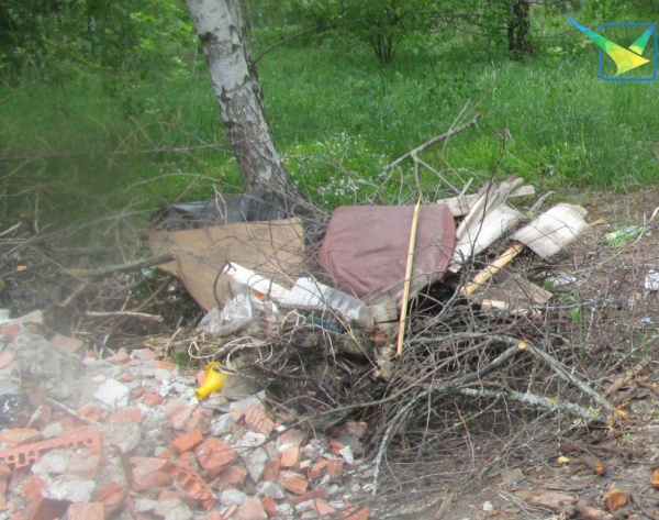Сброс строительного мусора выявили в Луховицах