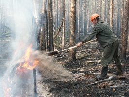Природные пожары в этом году могут начаться раньше обычного