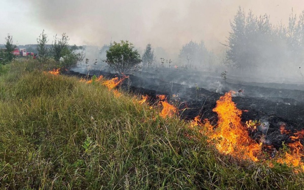 13 лесных пожаров потушили в регионе на прошлой неделе