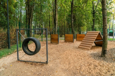 В России утверждён первый ГОСТ на обустройство площадок для выгула, игр и тренировок собак