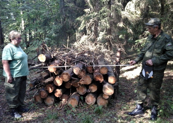 Неликвидную древесину убирают в егорьевских лесах