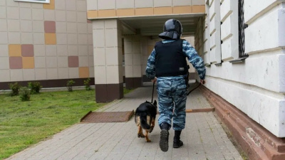 Киберпреступника задержали в Коломне