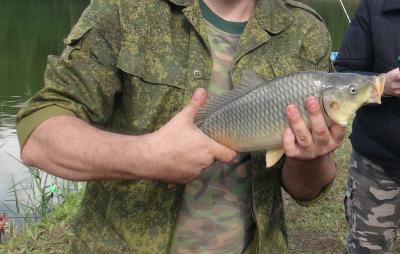 Представительница прекрасной половины принесла победу в рыболовном конкурсе