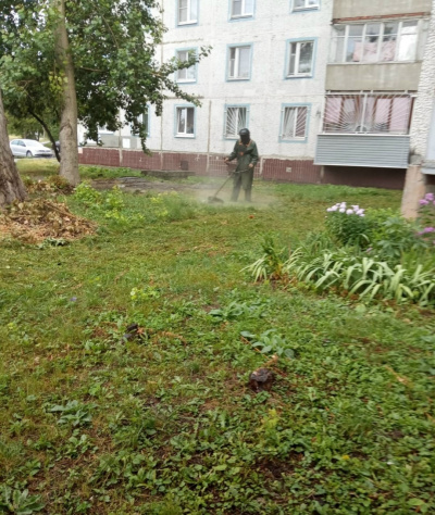 ДГХ просит горожан по возможности огораживать клумбы