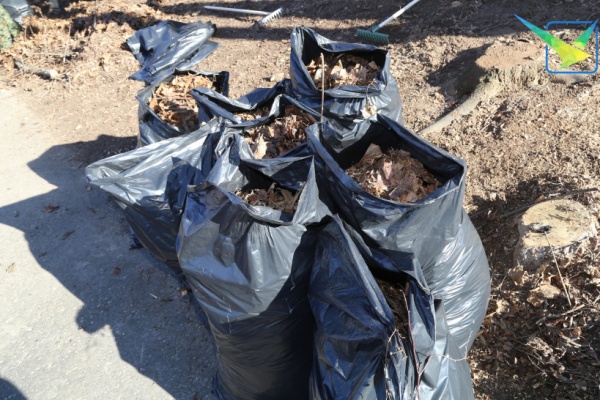 38 кубометров мусора собрали в Луховицах