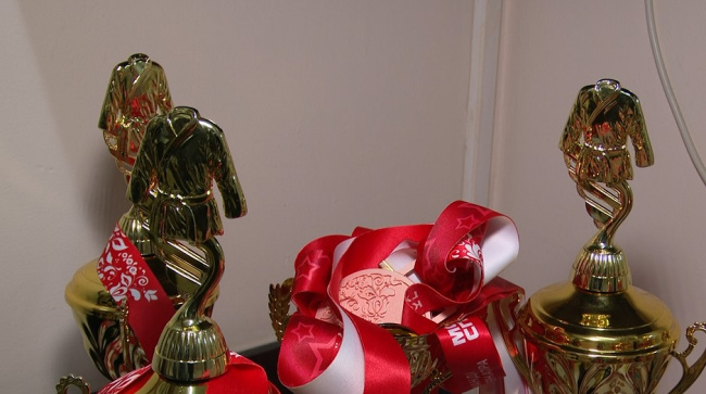 Коломенская сборная заняла первое общекомандное место