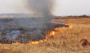 Пожароопасный период в регионе начнется 27 апреля