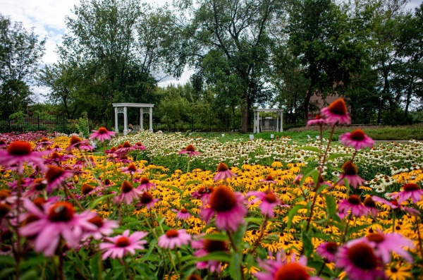 Парк усадьбы Кривякино стал одним из самых посещаемых в Подмосковье