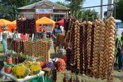 Этим летом в городском округе Коломна пройдёт более 30 мероприятий