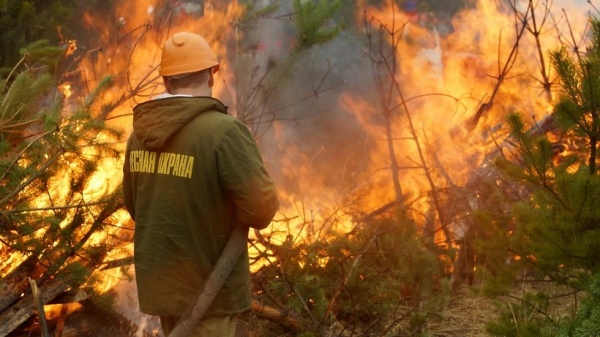 Восемь лесных пожаров потушили за неделю в Подмосковье