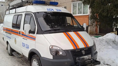 Спасатели нашли двух заблудившихся девушек в лесу под Коломной