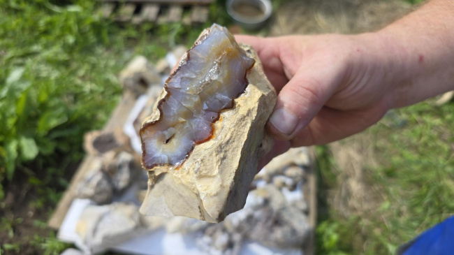 Уникальную коллекцию минералов собрал дома житель Коломны