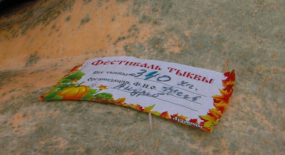 Эко-фестиваль &quot;Мякоть&quot; провели в Луховицах