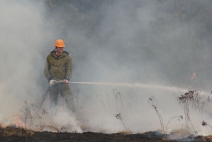 В Луховицах предотвратили крупный лесной пожар