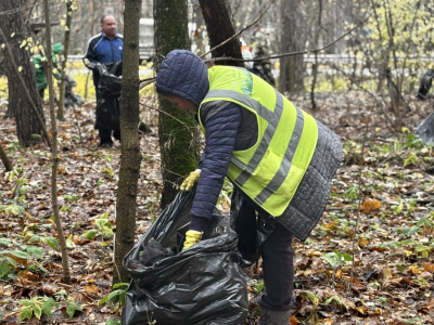 В Воскресенске прошла экологическая акция &quot;Чистое Подмосковье&quot;