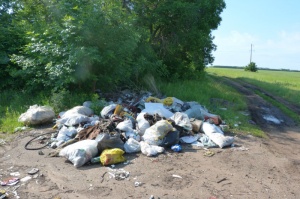 Нарушителя, оставишего мусор в неустановленном месте, нашли по выброшенным документам