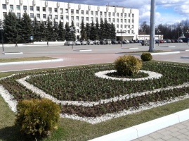 На площади Советской появились первые цветы