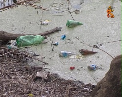"Где хочу, там и кидаю" - ситуация с мусором в Коломне ужасающая