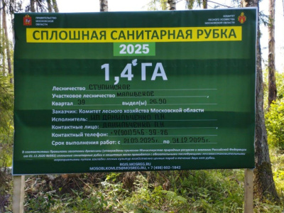 Сплошная санитарная рубка