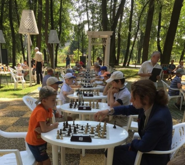 Любители шахмат собираются в парке усадьбы Кривякино