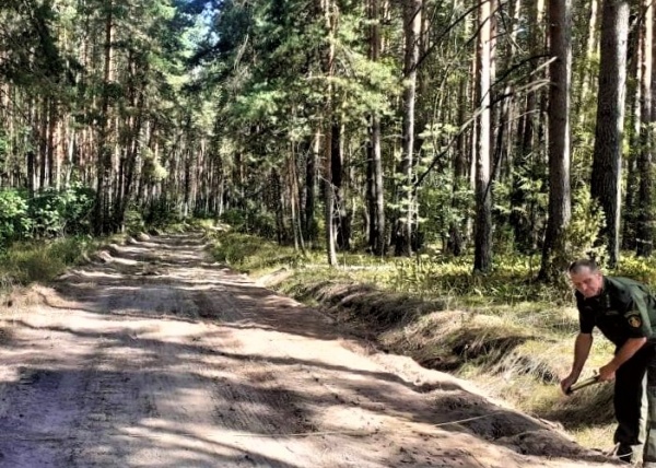 Обустройство лесных дорог идёт в Луховицах
