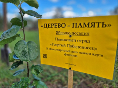Озёрские и коломенские школьники присоединились к акции &quot;Сад памяти&quot;