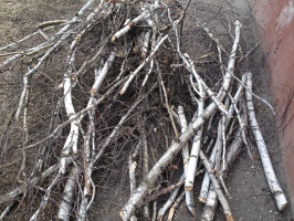 Проверка Госадмтехнадзора выявила в Коломенском районе мусор и аварийные деревья